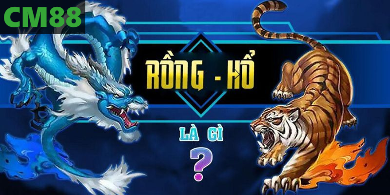 Rồng Hổ Tại Cm88